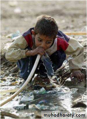 CHOLERA