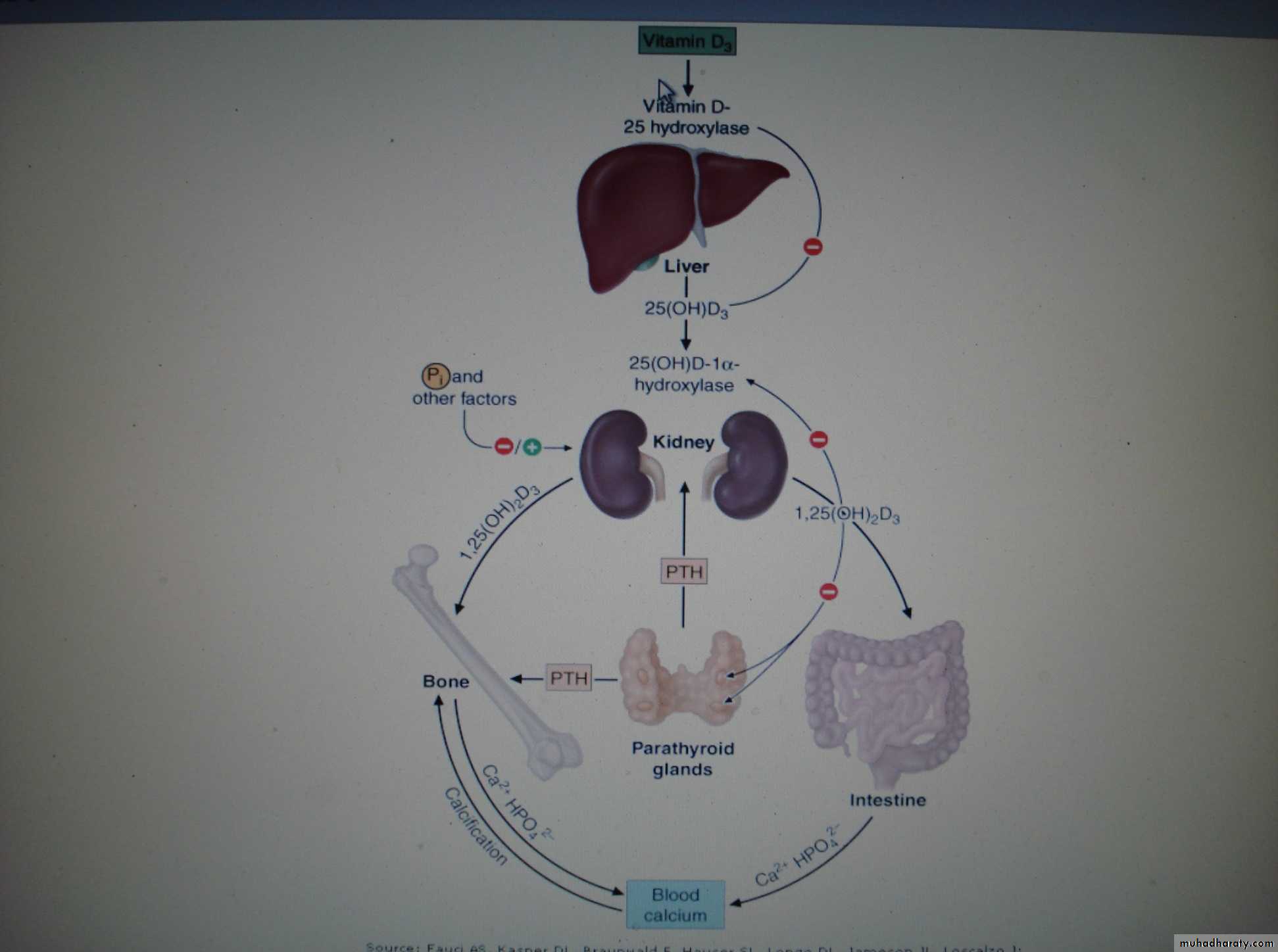 nutrition