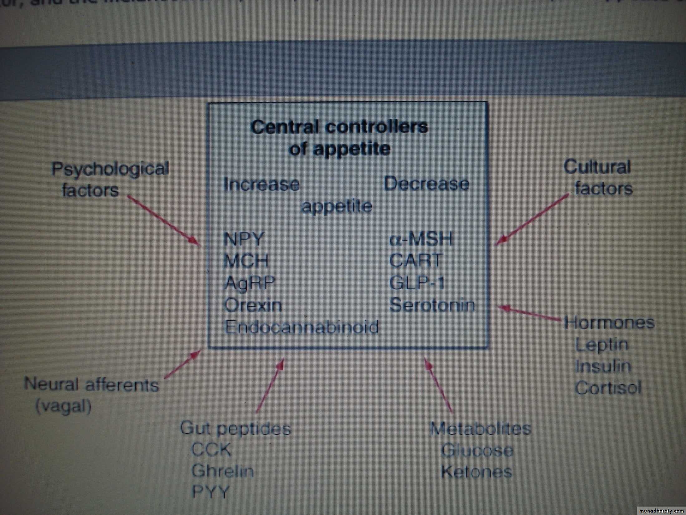 nutrition