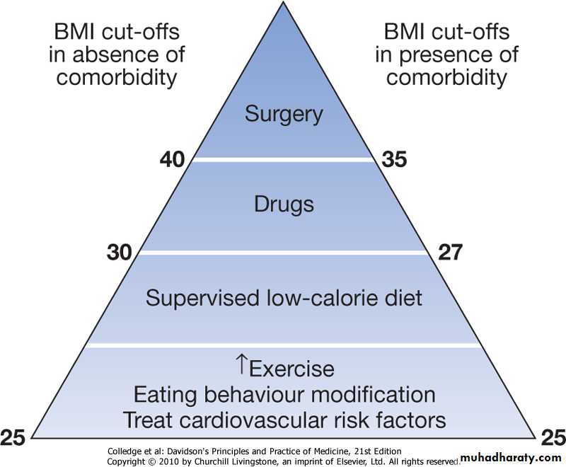nutrition