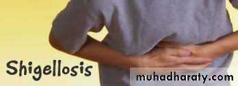 Shigellosis