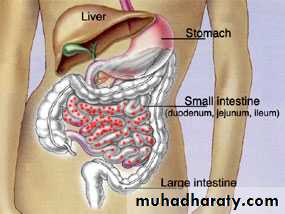 Practical Pharmacology