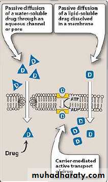 Practical Pharmacology