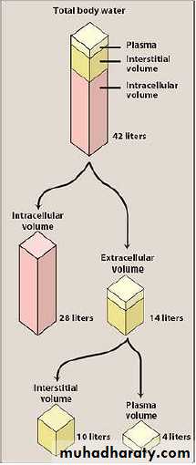 Practical Pharmacology