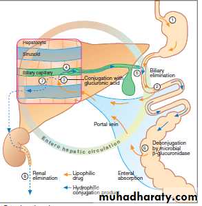Practical Pharmacology