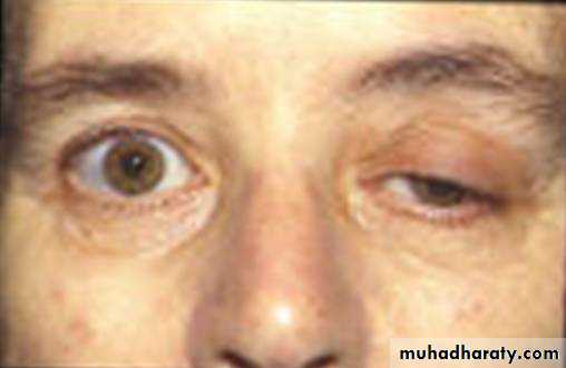 Practical Pharmacology