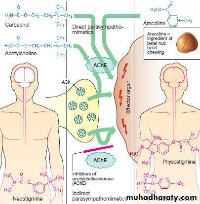 Practical Pharmacology
