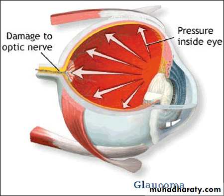 Practical Pharmacology