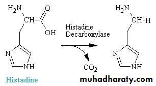 Practical Pharmacology