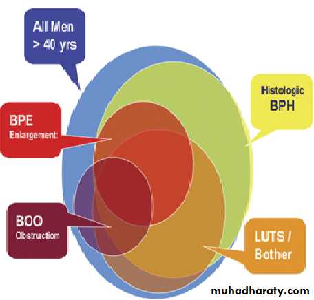 BPH