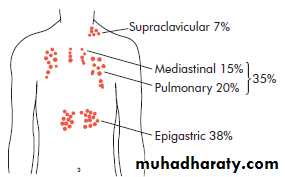 Scrotal Pathologies