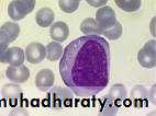 Lab-2