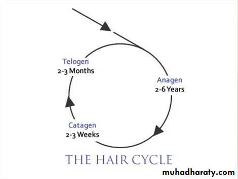 hair disorder
