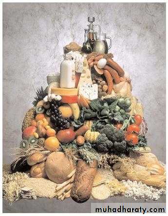 Digestive sys theory