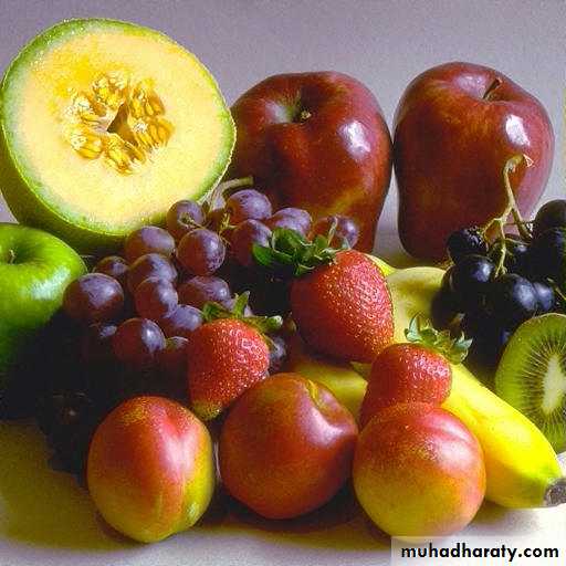 Digestive sys theory
