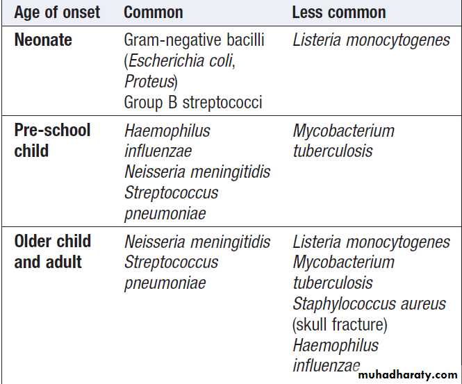 Neurology
