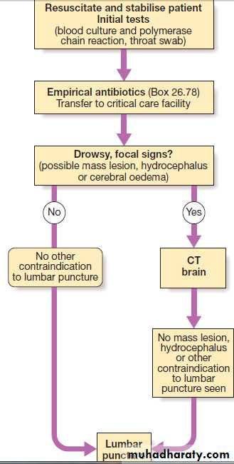 Neurology