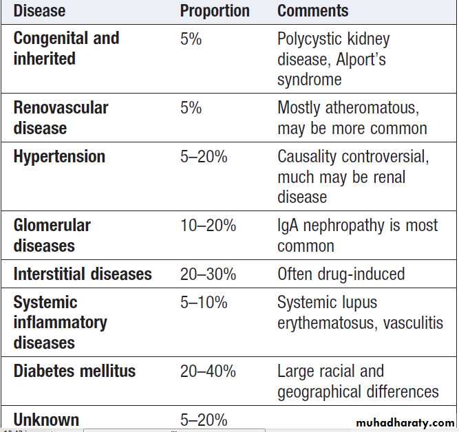 Renal