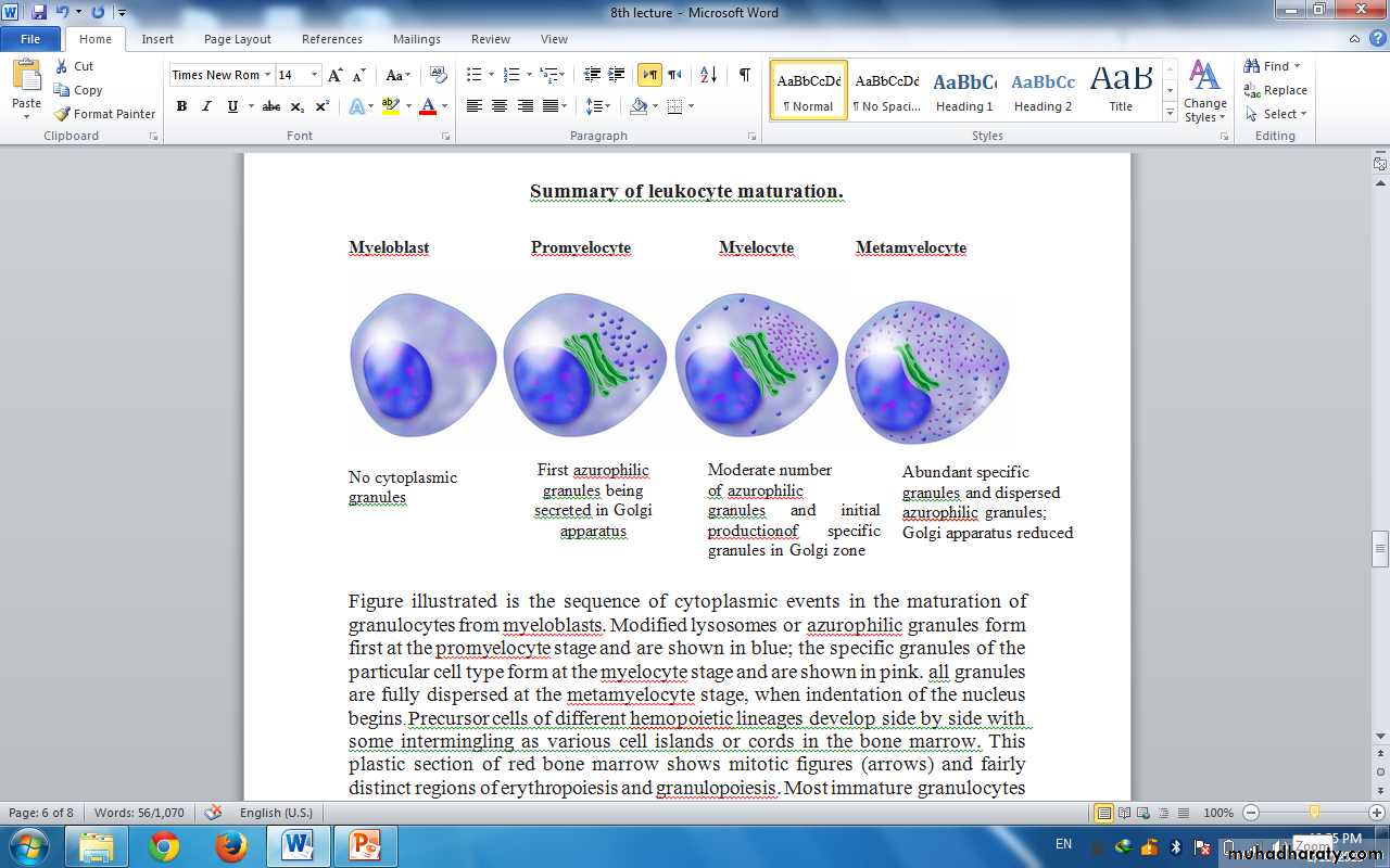 Blood and Hematopoietic Tissue