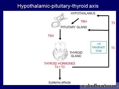Thyroid disorders