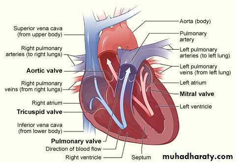 cardiac surgery