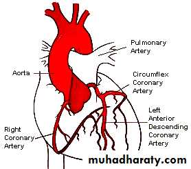 cardiac surgery
