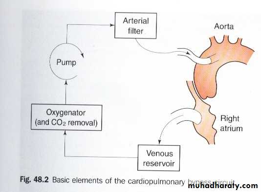 cardiac surgery