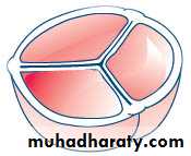 cardiac surgery
