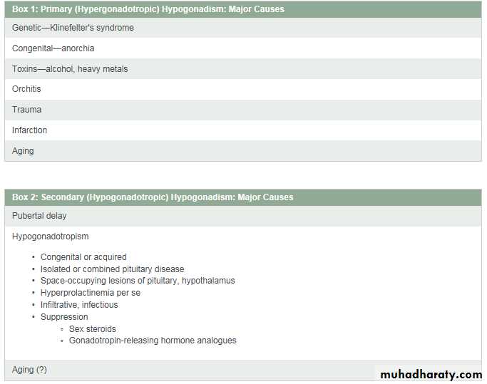 Endocrine