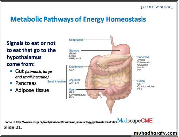 Obesity