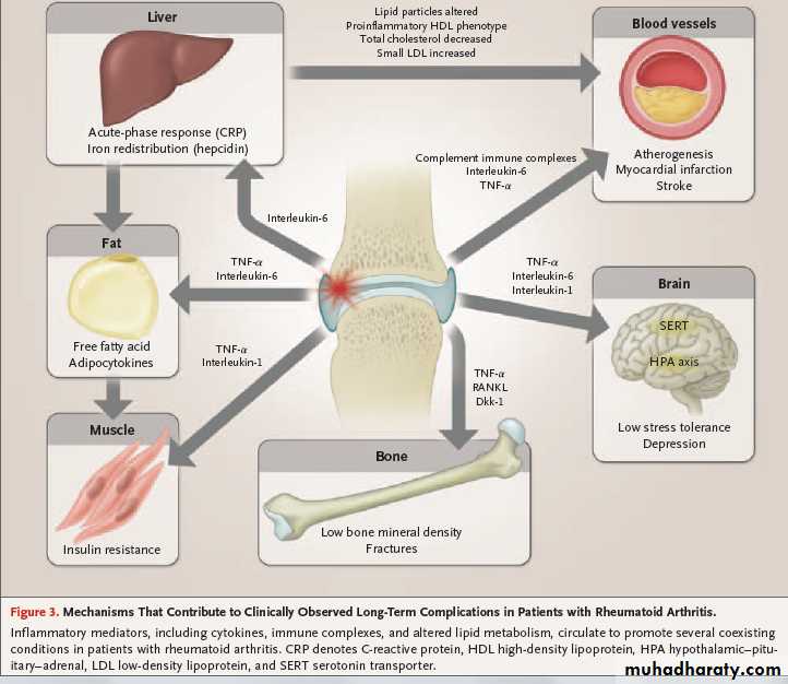 Rheumatology