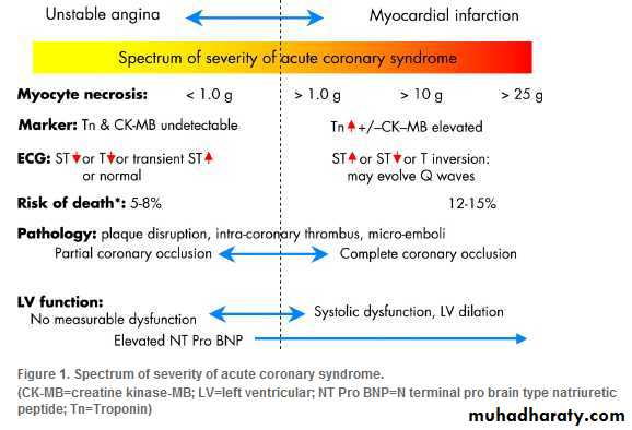 BMJ Learning