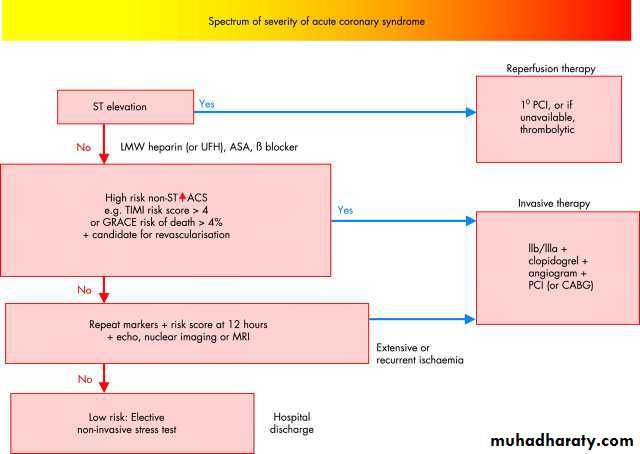 BMJ Learning