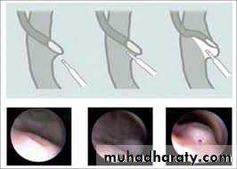 Urology