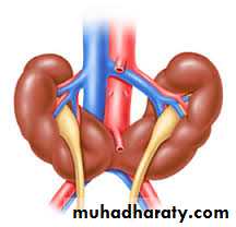 Urology