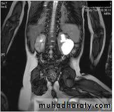 Urology