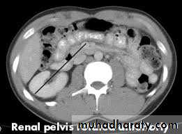 Urology