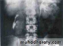 Urology