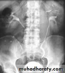 Urology