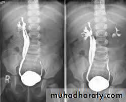 Urology
