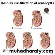 Urology