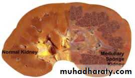 Urology