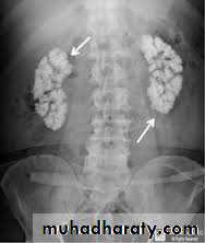 Urology