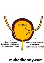Urology