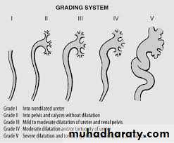 Urology