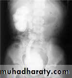 Urology