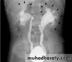 Urology