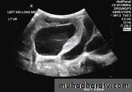 Urology