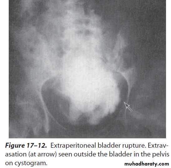 Urology