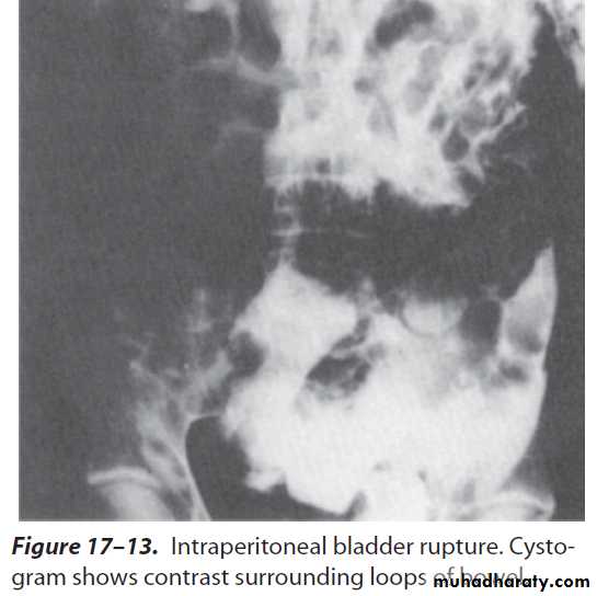 Urology